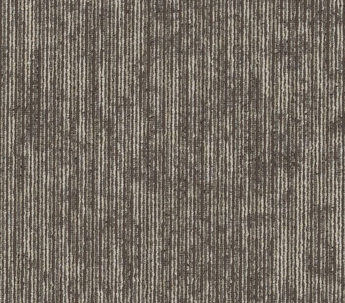 Carpet Tile Philadelphia Commercial - Aim High - Encourage - Carpet Tile Box Shaw