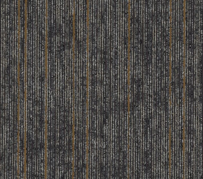 Carpet Tile Philadelphia Commercial - Aim High - Persist - Carpet Tile Box Shaw