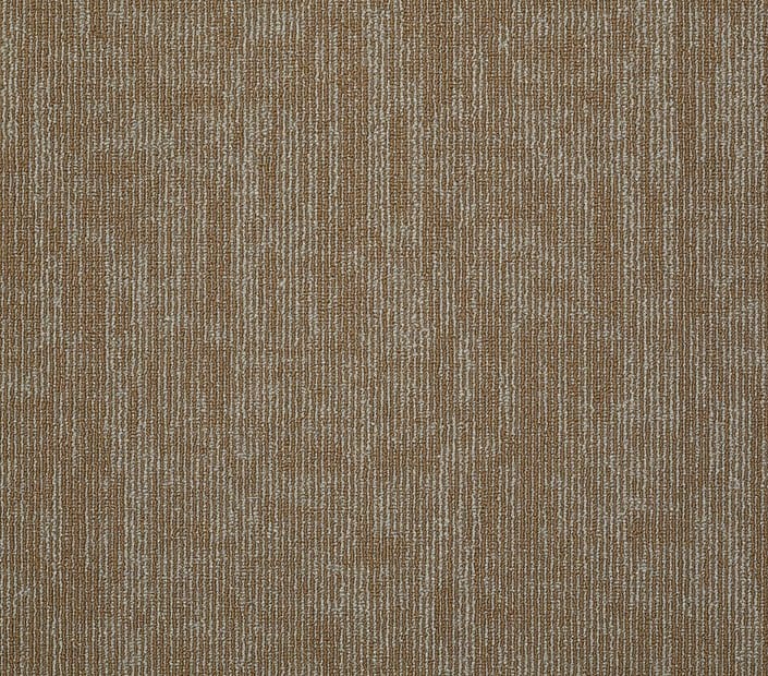 Carpet Tile Philadelphia Commercial - Carbon Copy - Duplicate - Carpet Tile Box Shaw