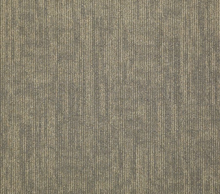 Carpet Tile Philadelphia Commercial - Carbon Copy - Transfer - Carpet Tile Box Shaw