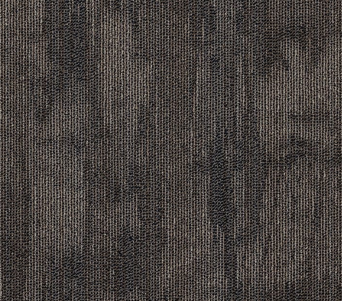 Carpet Tile Philadelphia Commercial - Chiseled - Form - Carpet Tile Box Shaw