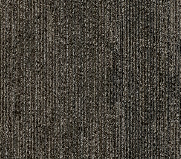 Carpet Tile Philadelphia Commercial - Declare - Coverage - Carpet Tile Box Shaw