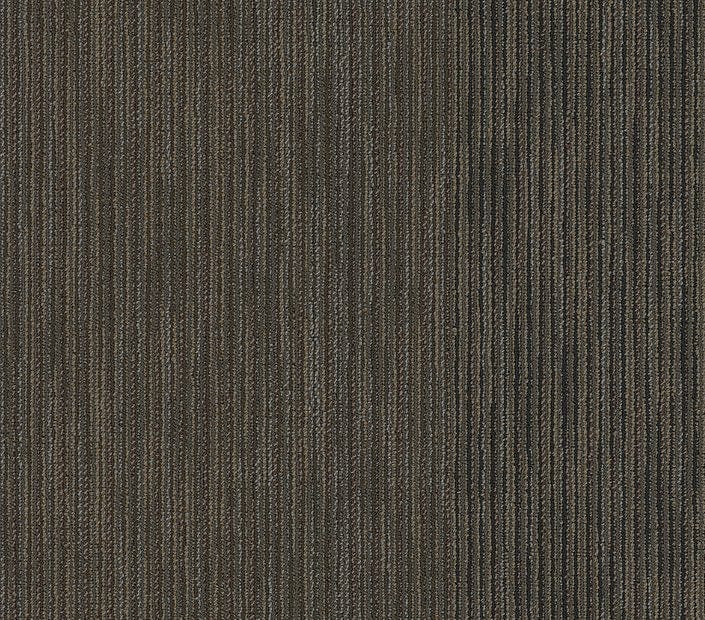 Carpet Tile Philadelphia Commercial - Document - Coverage - Carpet Tile Box Shaw