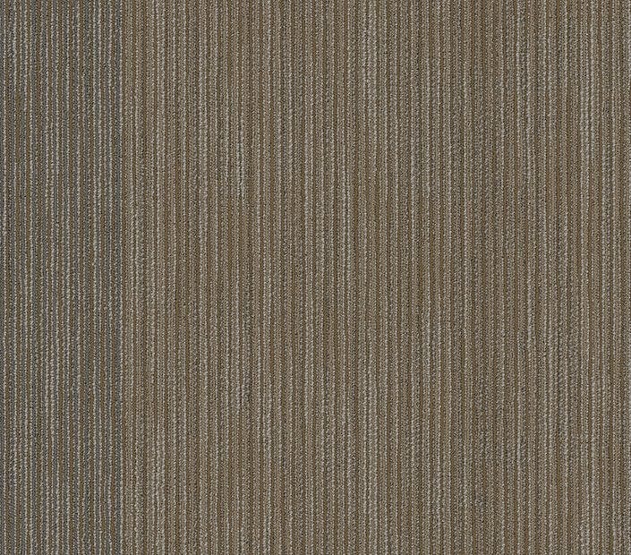 Carpet Tile Philadelphia Commercial - Document - Front-Page - Carpet Tile Box Shaw