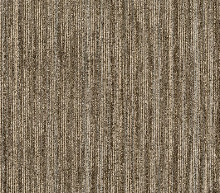 Carpet Tile Philadelphia Commercial - Intellect - Scholarly - Carpet Tile Box Shaw