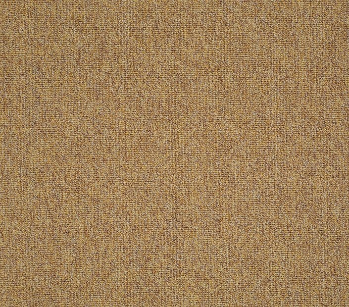 Carpet Tile Philadelphia Commercial - Multiplicity 24x24 - Expansive - Carpet Tile Box Shaw