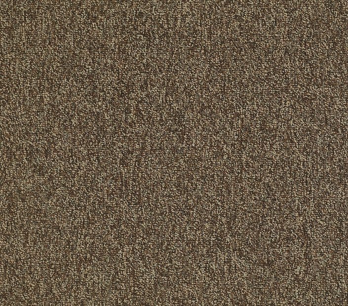 Carpet Tile Philadelphia Commercial - Multiplicity 24x24 - Exuberance - Carpet Tile Box Shaw