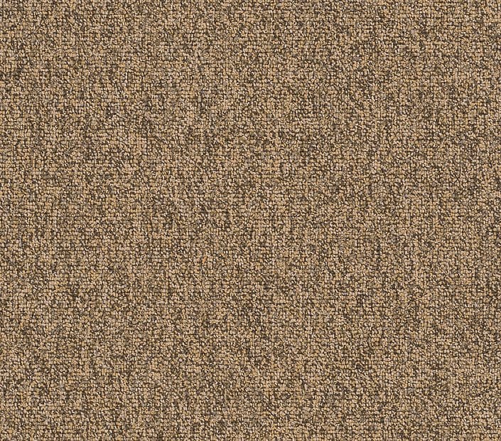 Carpet Tile Philadelphia Commercial - Multiplicty 18x36 - Abundance - Carpet Tile Box Shaw