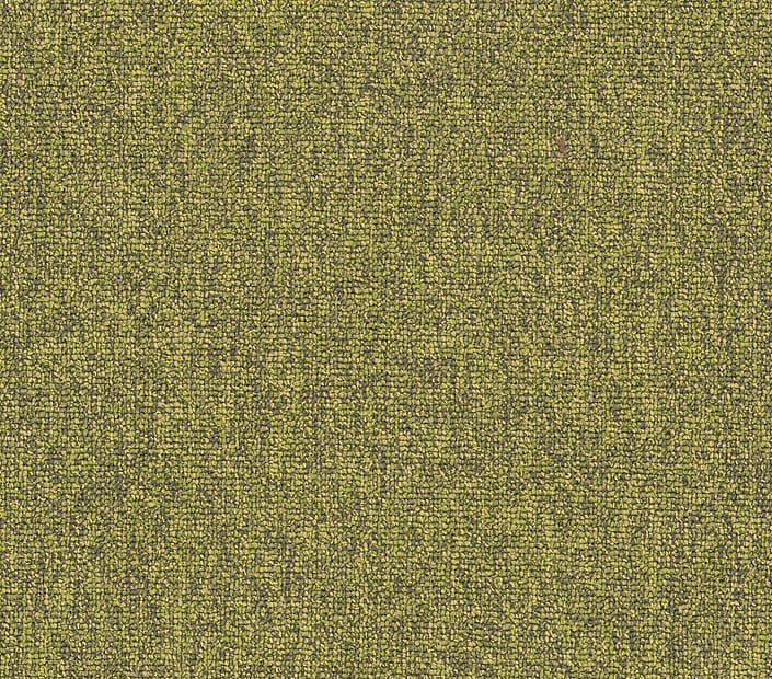 Carpet Tile Philadelphia Commercial - Multiplicty 18x36 - Exuberant - Carpet Tile Box Shaw