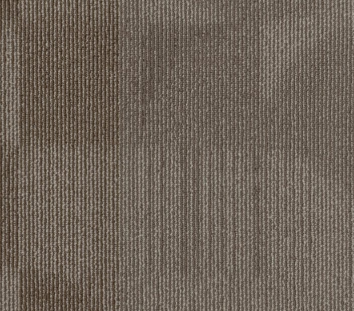 Carpet Tile Philadelphia Commercial - Reset - Shift - Carpet Tile Box Shaw