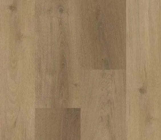 Flooring & Carpet Legendary Floors - Kingsport - Meadow - Luxury Vinyl Plank Legendary Floors