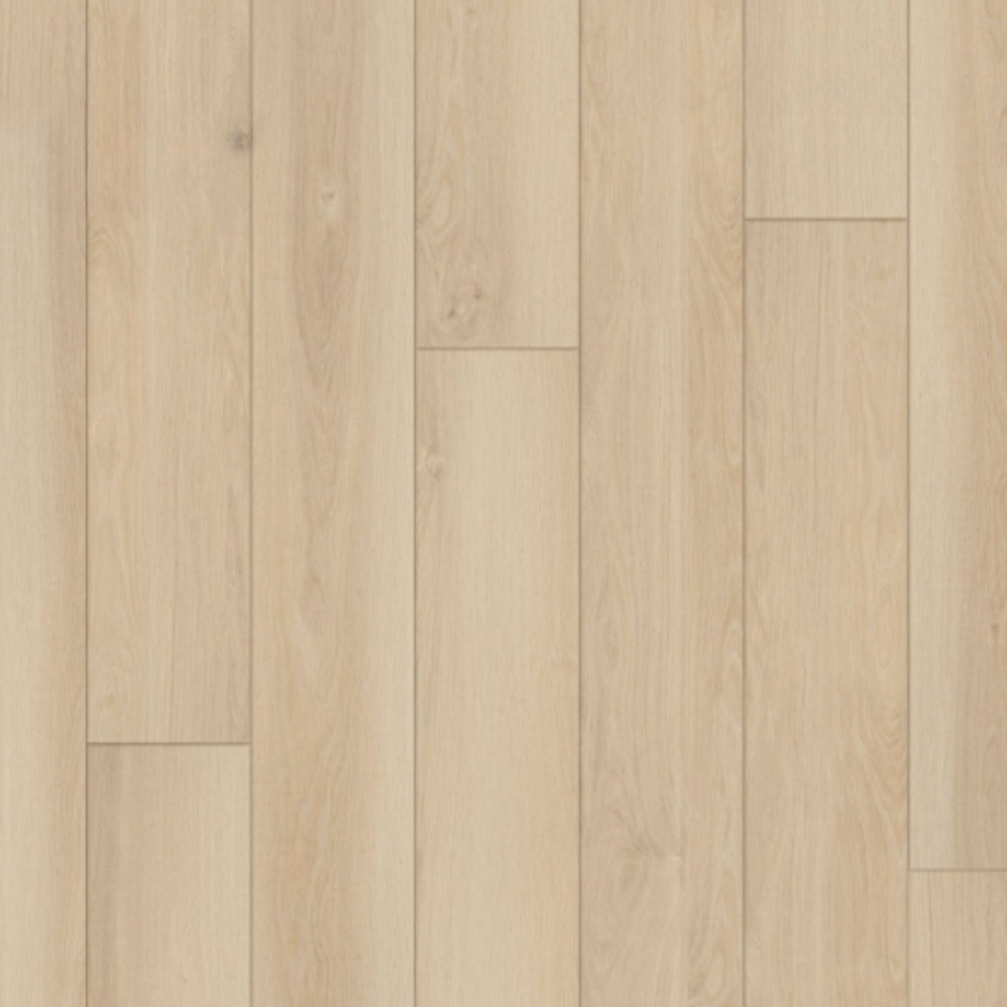 Luxury Vinyl Plank Happy Feet - Regency - Sandy Bay - LVP Happy Feet