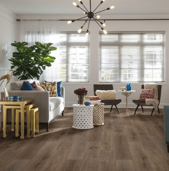 Luxury Vinyl Plank Shaw Floors - Paladin Plus - Wild Dunes - Luxury Vinyl Plank Shaw