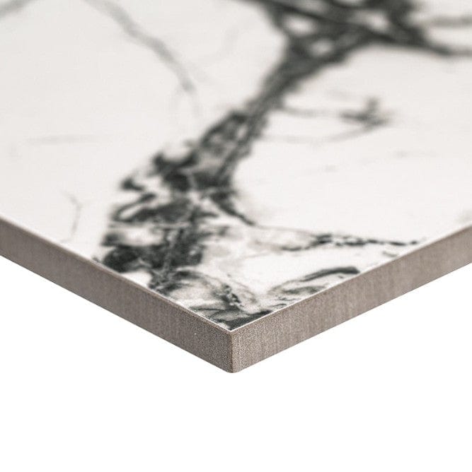 Porcelain Tile MSI - Exotika - Lux Iceberg 24 x 48 - Porcelain Tile MSI