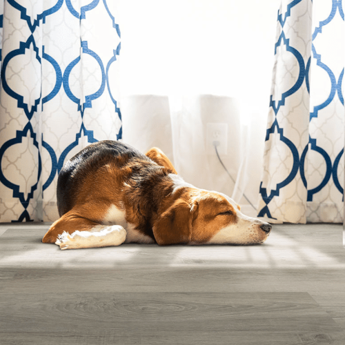 Flooring & Carpet MSI - Everlife Waterproof Hybrid Rigid Core - SmithCliffs - Malton MSI International