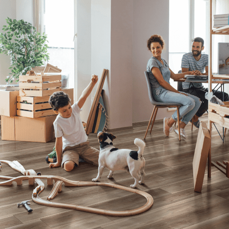 Flooring & Carpet MSI - Everlife Waterproof Wood - Andover - Highcliffe Greige MSI International