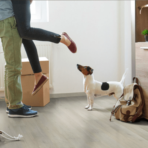 Flooring & Carpet MSI - Everlife Waterproof Wood - Woodhills - Bali Buff MSI International