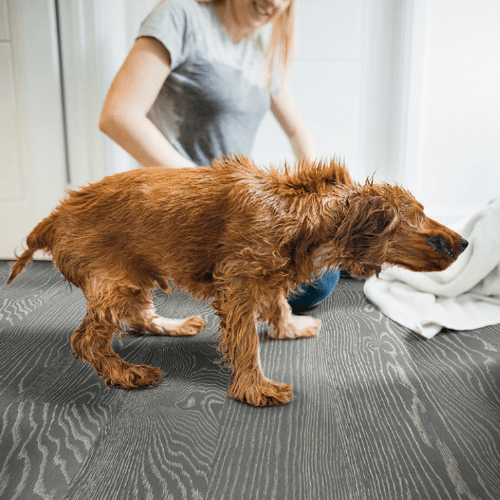 Flooring & Carpet MSI - Everlife Waterproof Wood - Woodhills - Liora MSI International