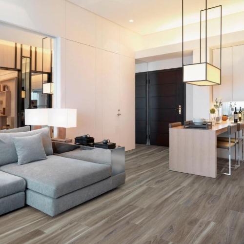 Luxury Vinyl Plank SolidTech - Explorer's Cove - Dolphin - Luxury Vinyl Plank Mohawk