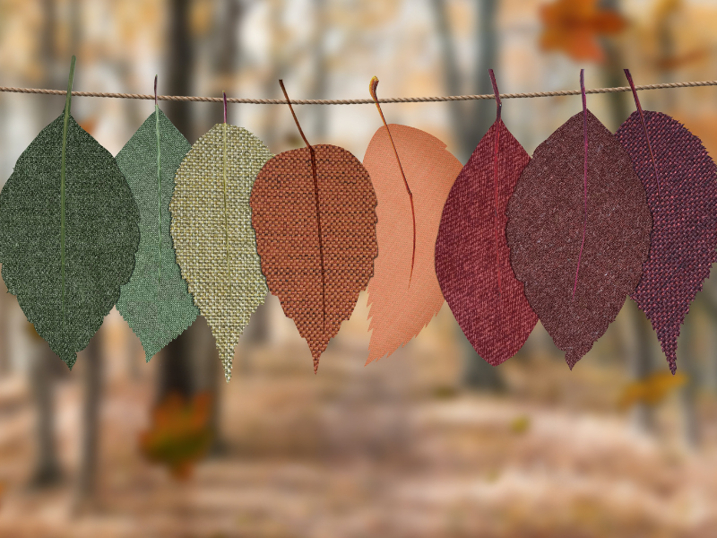 Decorate Your Home with Autumn Colors