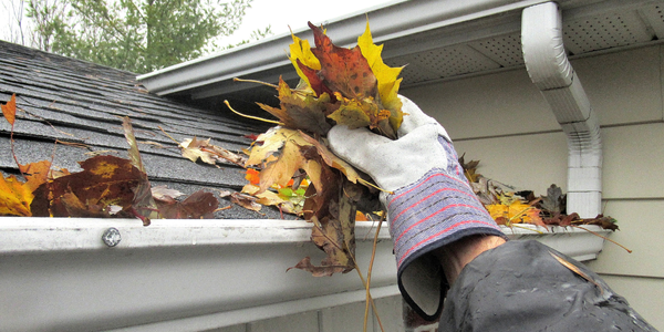 Don't Let Fall Leaves Wreck Your House