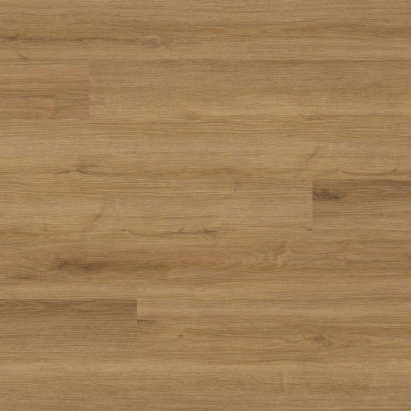 MSI - Everlife® Rigid Core - Cyrus 2.0 - Amber Forrester - Luxury Vinyl Plank