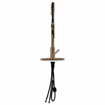 Bathroom Faucet MSI - 1-Handle Pull-Down Sprayer Kitchen Faucet with deckplate - 804 Gold MSI