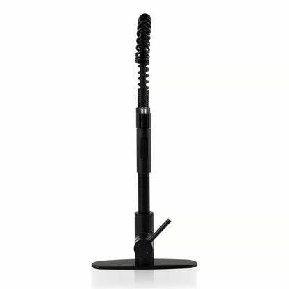 Bathroom Faucet MSI - 1-Handle Pull-Down Sprayer Kitchen Faucet with deckplate - 804 Matte Black MSI
