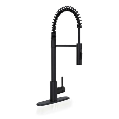 Bathroom Faucet MSI - 1-Handle Pull-Down Sprayer Kitchen Faucet with deckplate - 804 Matte Black MSI