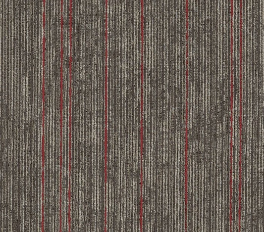 Carpet Tile Philadelphia Commercial - Aim High - Elevate - Carpet Tile Box Shaw