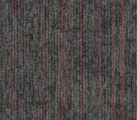 Carpet Tile Philadelphia Commercial - Aim High - Fortitude - Carpet Tile Box Shaw