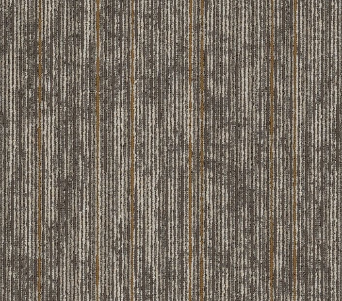 Carpet Tile Philadelphia Commercial - Aim High - Inspire - Carpet Tile Box Shaw