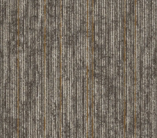 Carpet Tile Philadelphia Commercial - Aim High - Inspire - Carpet Tile Box Shaw