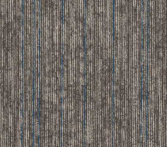 Carpet Tile Philadelphia Commercial - Aim High - Magnify - Carpet Tile Box Shaw