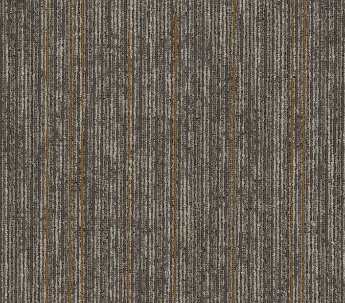 Carpet Tile Philadelphia Commercial - Aim High - Motivate - Carpet Tile Box Shaw