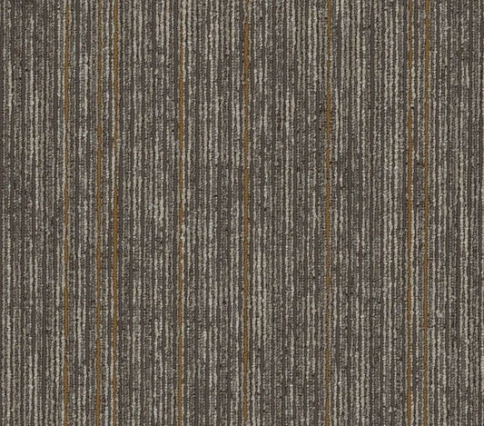 Carpet Tile Philadelphia Commercial - Aim High - Motivate - Carpet Tile Box Shaw