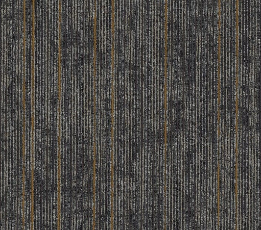 Carpet Tile Philadelphia Commercial - Aim High - Persist - Carpet Tile Box Shaw