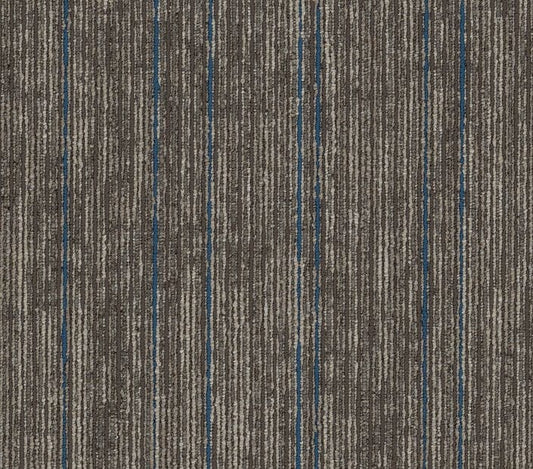 Carpet Tile Philadelphia Commercial - Aim High - Support - Carpet Tile Box Shaw