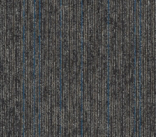 Carpet Tile Philadelphia Commercial - Aim High - Sustain - Carpet Tile Box Shaw