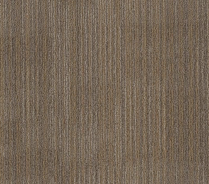 Carpet Tile Philadelphia Commercial - Ascension - Rework - Carpet Tile Box Shaw