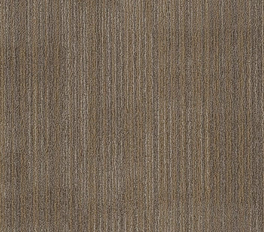 Carpet Tile Philadelphia Commercial - Ascension - Rework - Carpet Tile Box Shaw