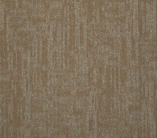 Carpet Tile Philadelphia Commercial - Carbon Copy - Duplicate - Carpet Tile Box Shaw