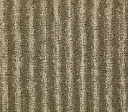 Carpet Tile Philadelphia Commercial - Carbon Copy - Knock-Off - Carpet Tile Box Shaw