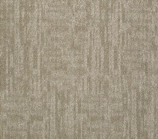 Carpet Tile Philadelphia Commercial - Carbon Copy - Mirror Image - Carpet Tile Box Shaw