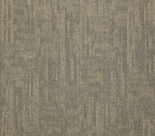 Carpet Tile Philadelphia Commercial - Carbon Copy - Transfer - Carpet Tile Box Shaw