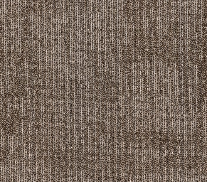 Carpet Tile Philadelphia Commercial - Chiseled - Compose - Carpet Tile Box Shaw