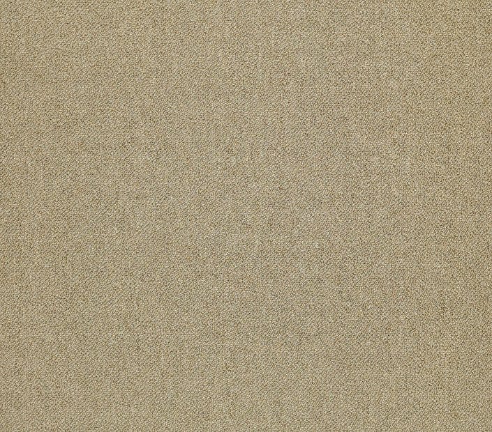 Carpet Tile Philadelphia Commercial - Counterpart - Copy Cat - Carpet Tile Box Shaw