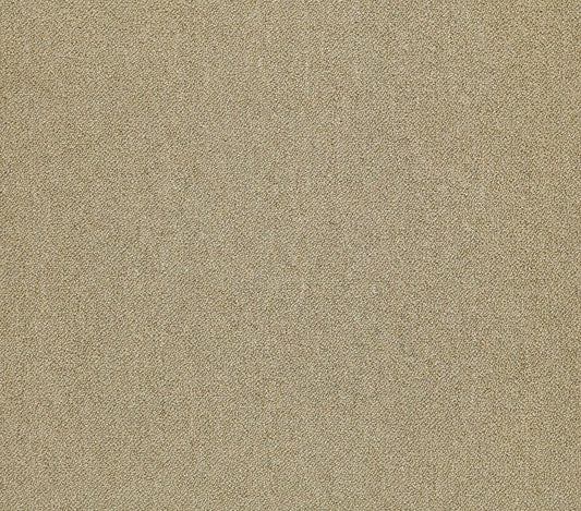 Carpet Tile Philadelphia Commercial - Counterpart - Copy Cat - Carpet Tile Box Shaw