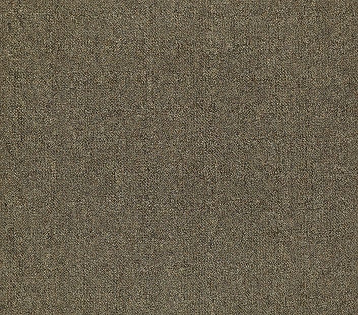 Carpet Tile Philadelphia Commercial - Counterpart - Spitting Image - Carpet Tile Box Shaw