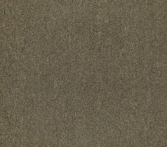 Carpet Tile Philadelphia Commercial - Counterpart - Spitting Image - Carpet Tile Box Shaw